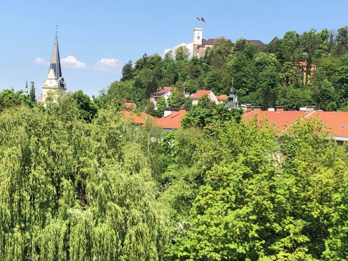 Apartment Castle View *